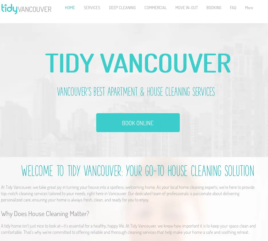 tidyclean