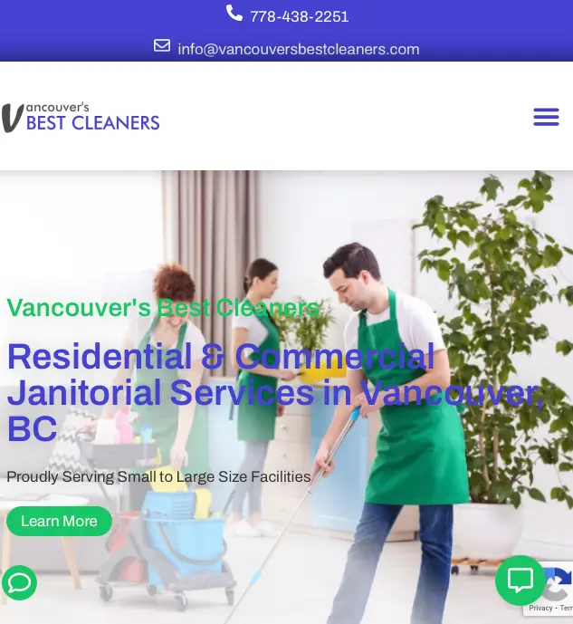 van-best-cleaners